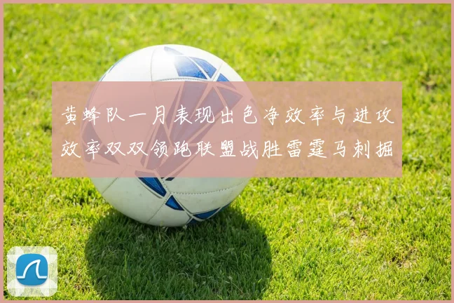 黄蜂队一月表现出色净效率与进攻效率双双领跑联盟战胜雷霆马刺掘金