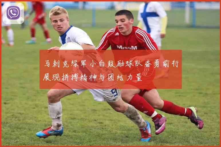 马刺克绿军小白鼓励球队奋勇前行展现拼搏精神与团结力量